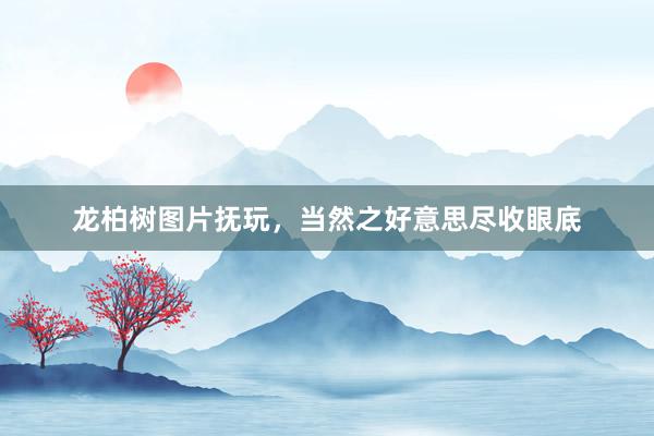 龙柏树图片抚玩，当然之好意思尽收眼底