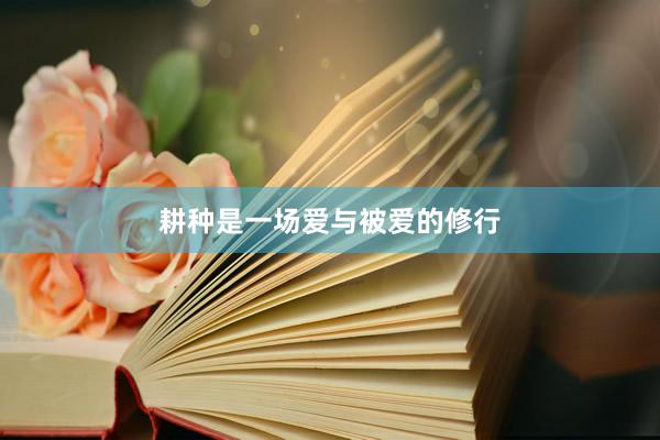 耕种是一场爱与被爱的修行