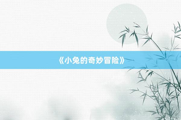 《小兔的奇妙冒险》