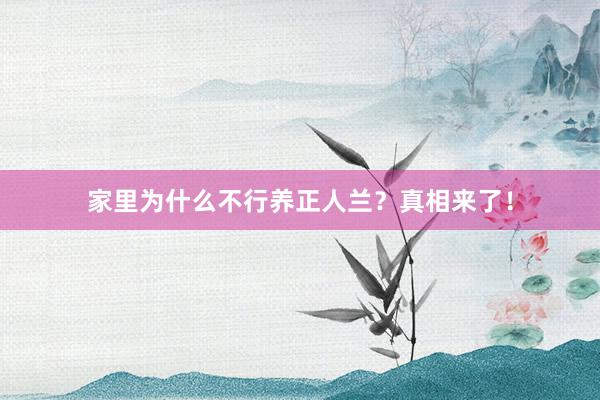 家里为什么不行养正人兰？真相来了！