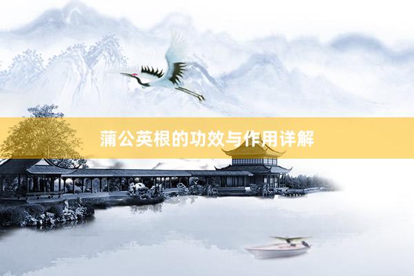 蒲公英根的功效与作用详解