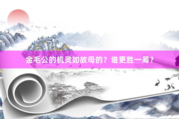 金毛公的机灵如故母的?谁更胜一筹?