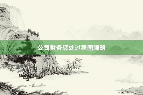 公司财务惩处过程图领略